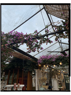 Petersham Nurseries