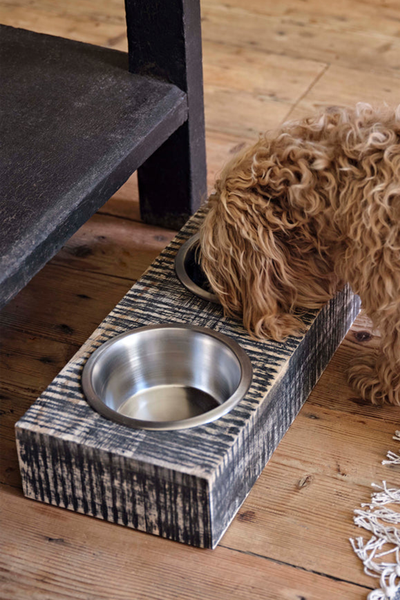 Textured Duo Dog Bowl from French Connection