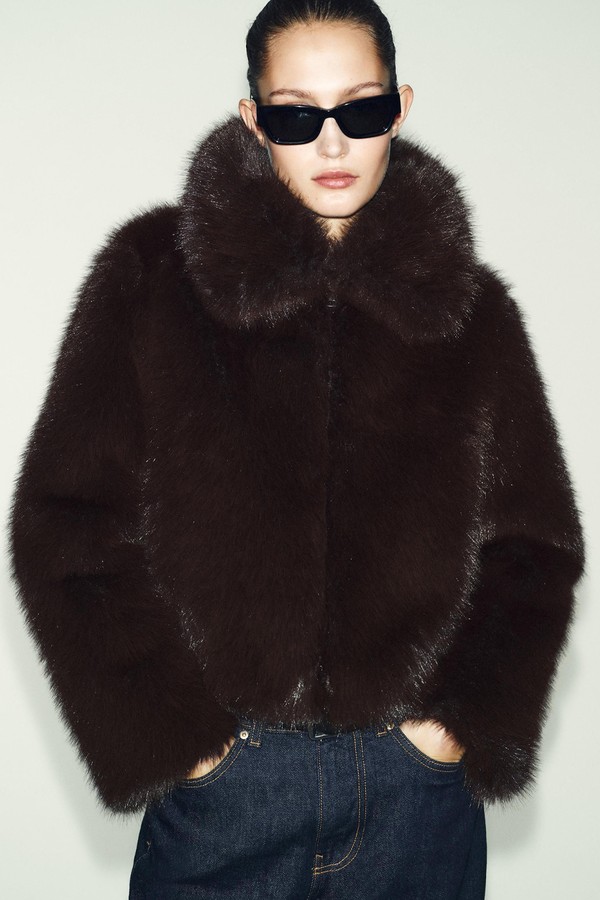 Faux Fur Collar Jacket from Zara