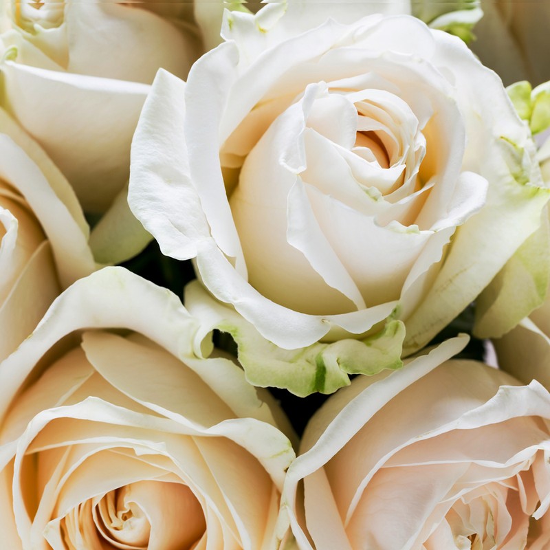 The Seasonal Flowers To Buy & Style Now | SheerLuxe