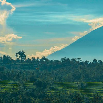 An Insider’s Guide To Bali