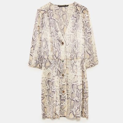 Snakeskin Dress from Zara