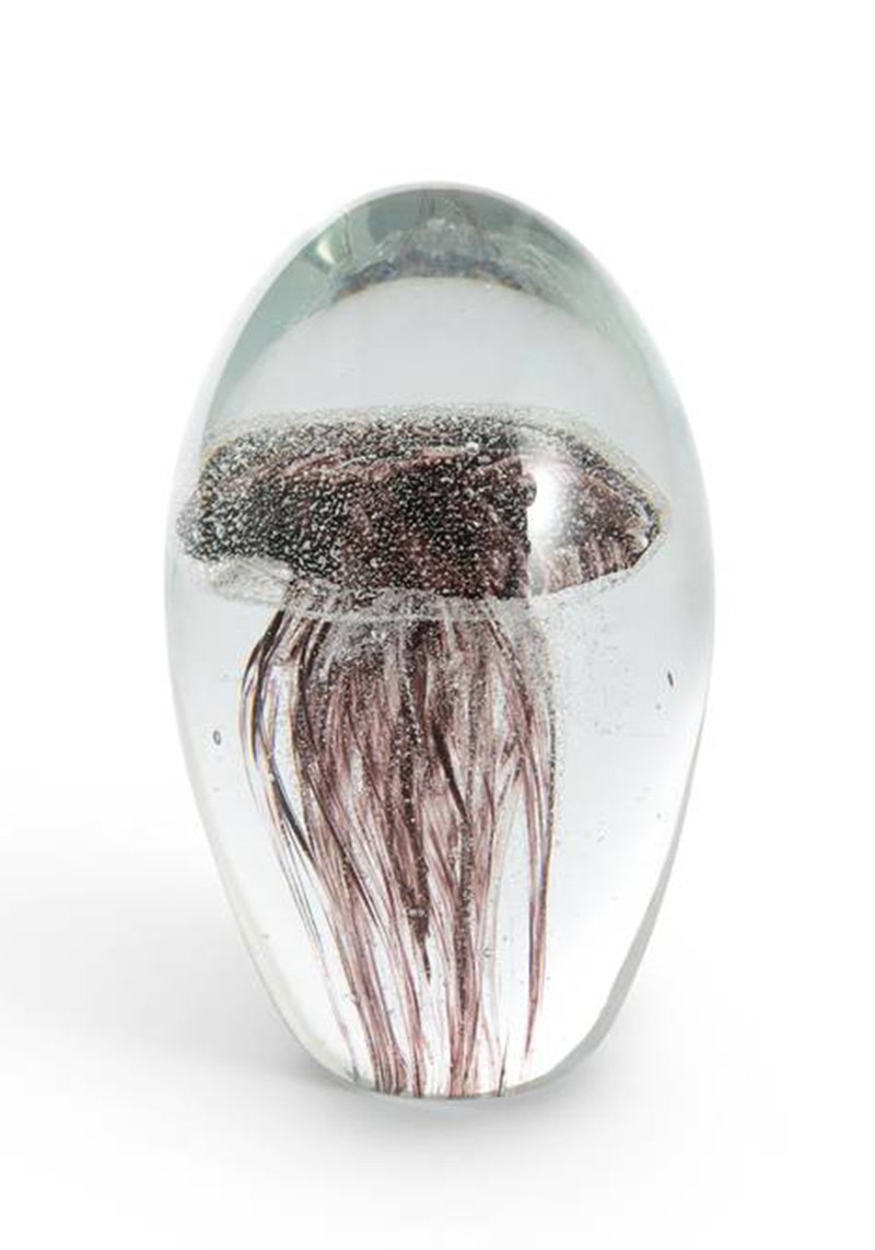 Medusa Fossilised Jellyfish Sulphide from La Redoute