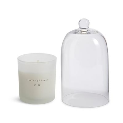  Fig Cloche & Candle