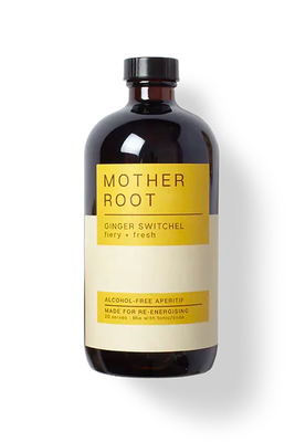 Ginger Switchel from Mother Root