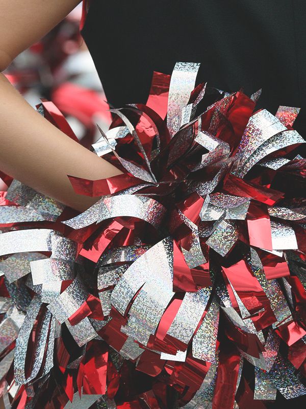 Everything You Need To Know About The NFL Cheerleader Scandal