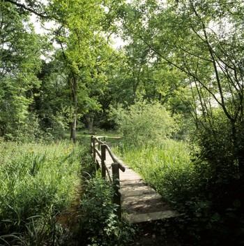 Bookham Common, Surrey