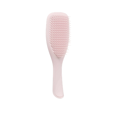 The Wet Detangler Hairbrush from Tangle Teezer