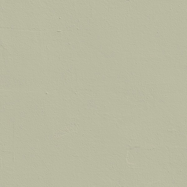 Mid Green Paint from Lick