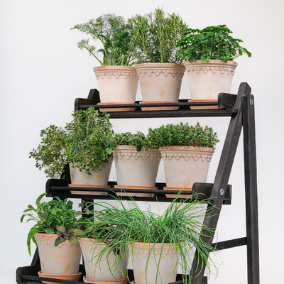 Aldsworth Plant Stand  from Soto Gardens