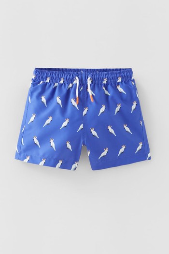 Cactus Print Bermuda Swim Shorts