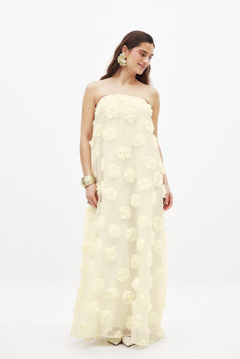 Flower Appliqué Bandeau Maxi Dress from NA-KD