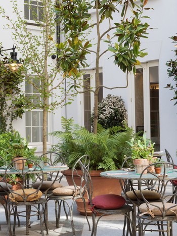 Petersham Nurseries, Covent Garden