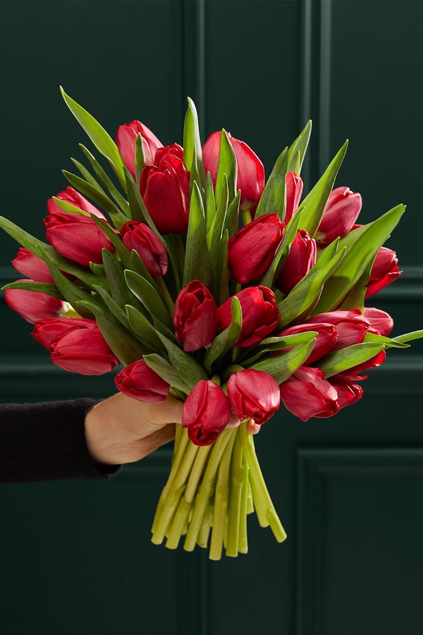 British Red Tulip Abundance Bouquet