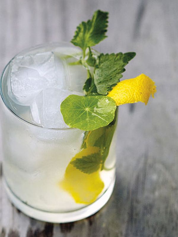 Lemon Balm & Nasturtium Daisy