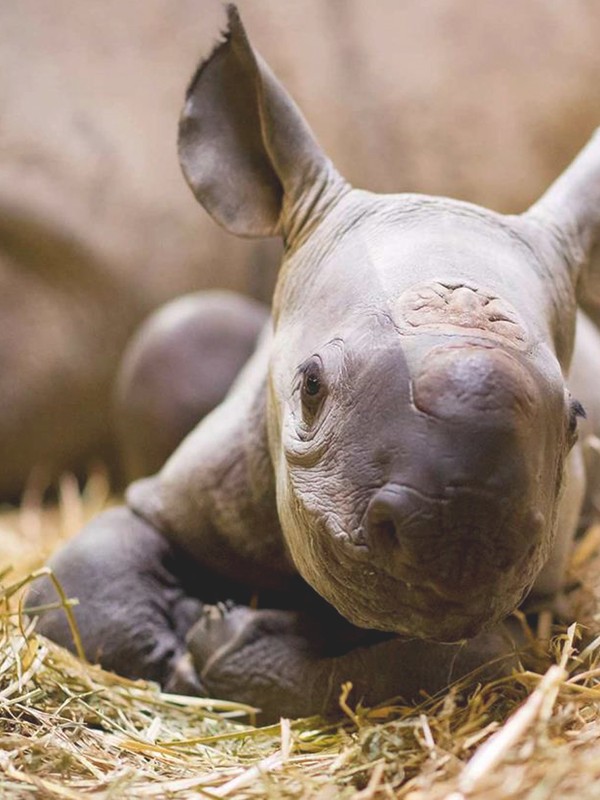 In The Know: Cool Things For Parents & Kids