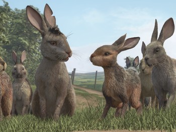 Watership Down