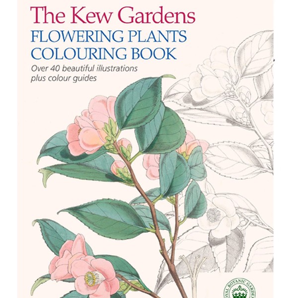 The Kew Gardens Flowering Plants Colouring Book from Waterstones