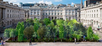 Forest For Change, Somerset House