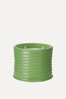 Luscious Pea Scented Candle from Loewe 