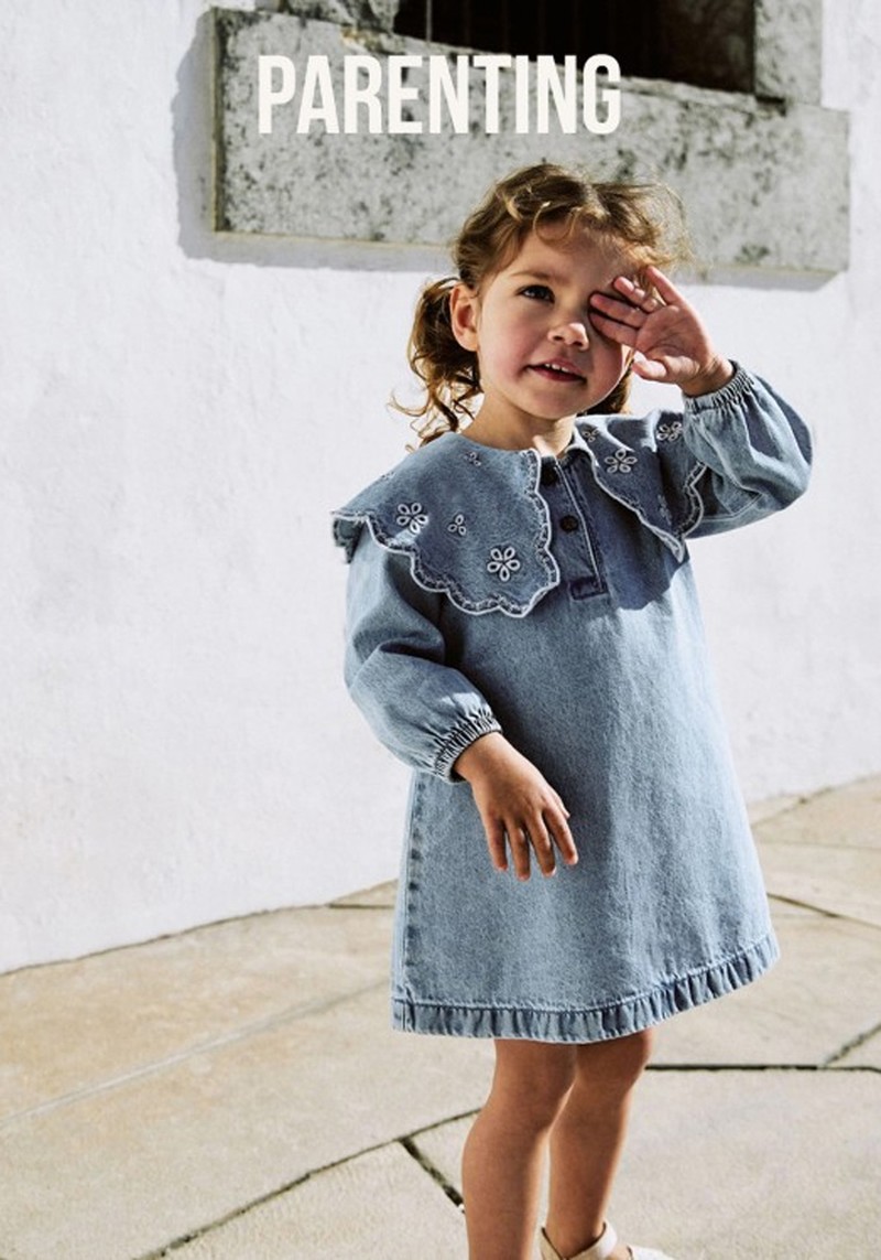 Denim Embroidered Collar Dress* 