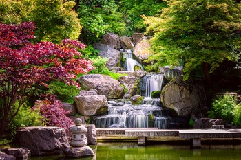 The Kyoto Garden