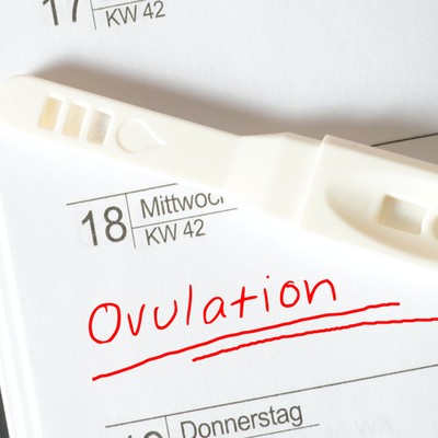 Ovulation 101: What To Know & Lifestyle Tips That Can Help