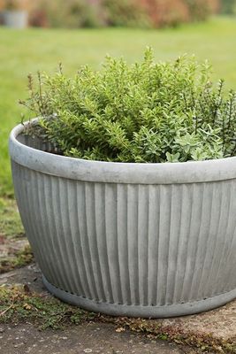 Zinc Dolly Bowl from Waitrose & Partners
