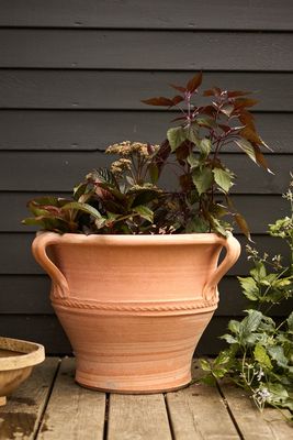 Athena Terracotta Pot  from Rowen And Wren 