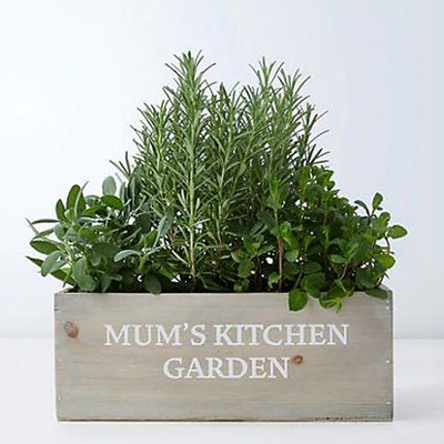 Mum’s Herb Crate