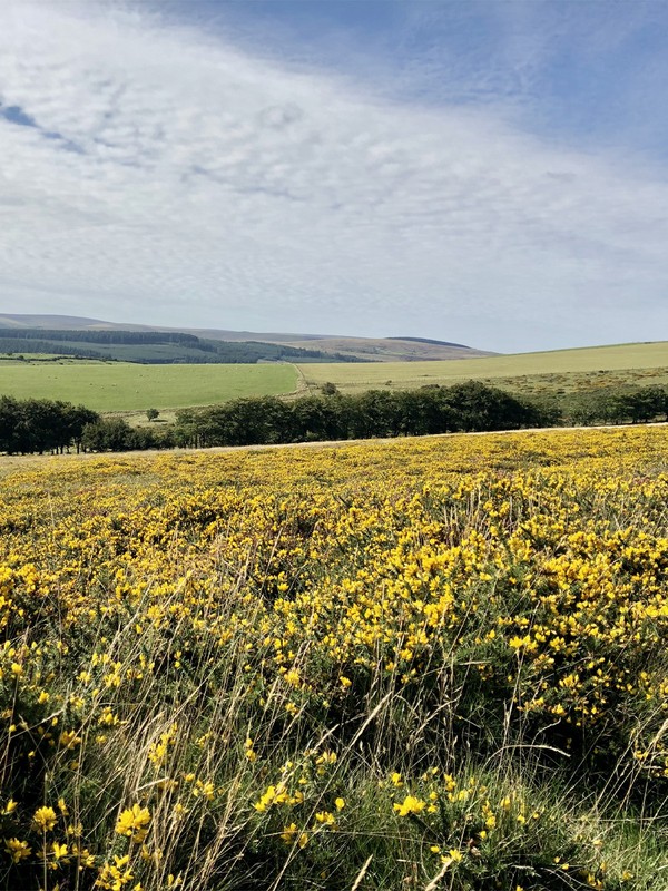 12 Walking Holidays in the UK