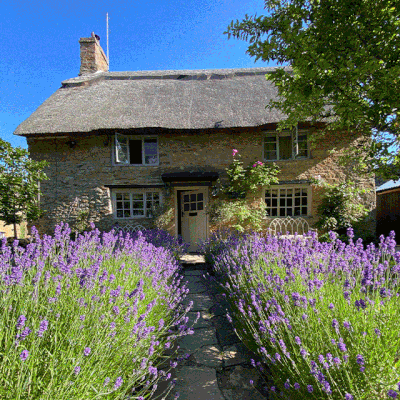 An Interior Designer Shows Us Her Dream Cottage