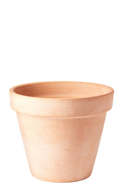 Terracotta Flowerpot from Plant Drop