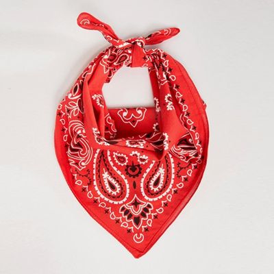 Paisley Print Bandana from ASOS