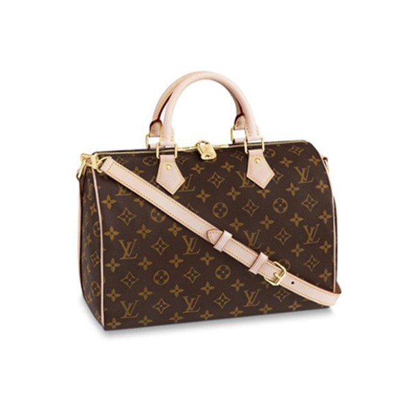Speedy 30 from Louis Vuitton