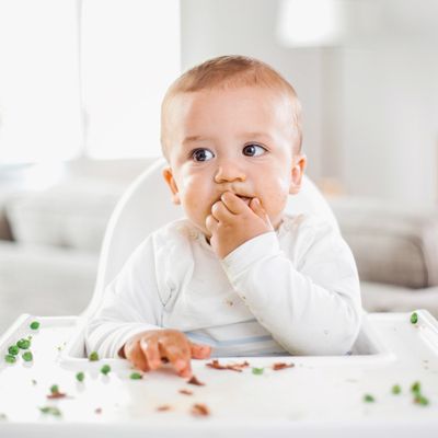 Weaning 101 With Annabel Karmel