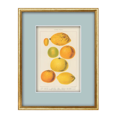 The Citrus Print