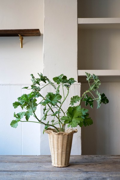 Wavy Edge Rattan Vase from Straw London