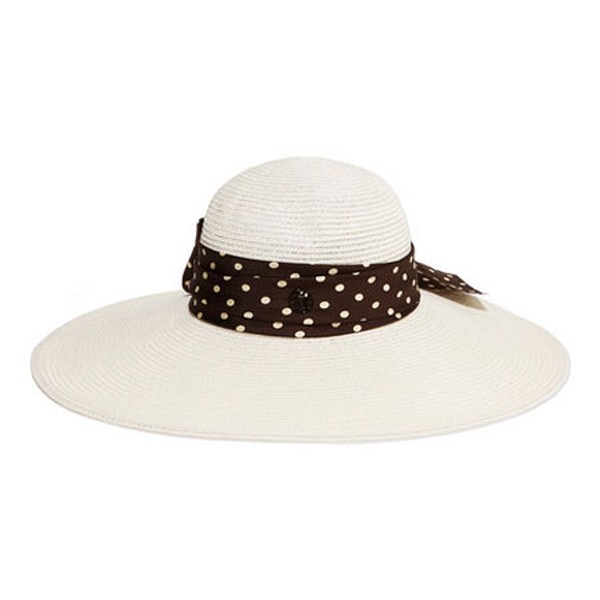 Hat from Maison Michel