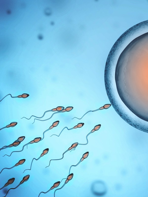 8 Ways To Make Your Man More Fertile