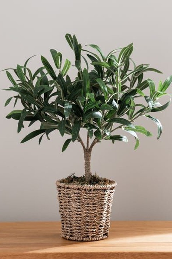 Churchgate Artificial Small Olive Tree in Woven Plant Pot
