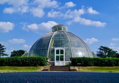 Tai Chi At Kew Gardens