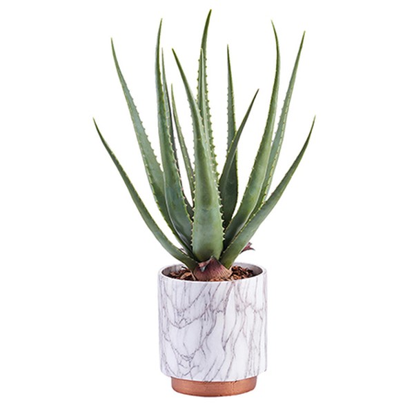 Peony Artificial Aloe Plant in Marble Pot from John Lewis & Partners