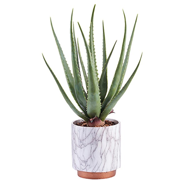 Peony Artificial Aloe Plant in Marble Pot from John Lewis & Partners 