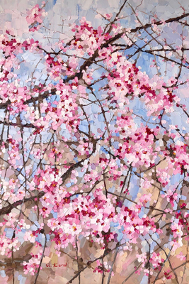 Pink Almond Blossom from By Ulyana Korol