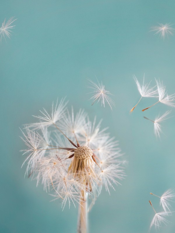 The Hay Fever Treatments To Try