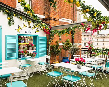 Malfy Lemon Grove Terrace At Harvey Nichols