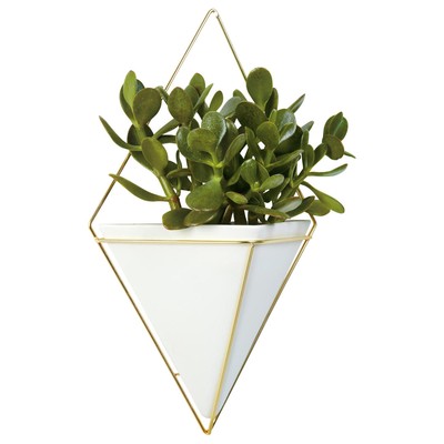 White Planter from Umbra