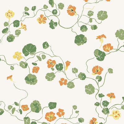 Nasturtium - Bigleaf