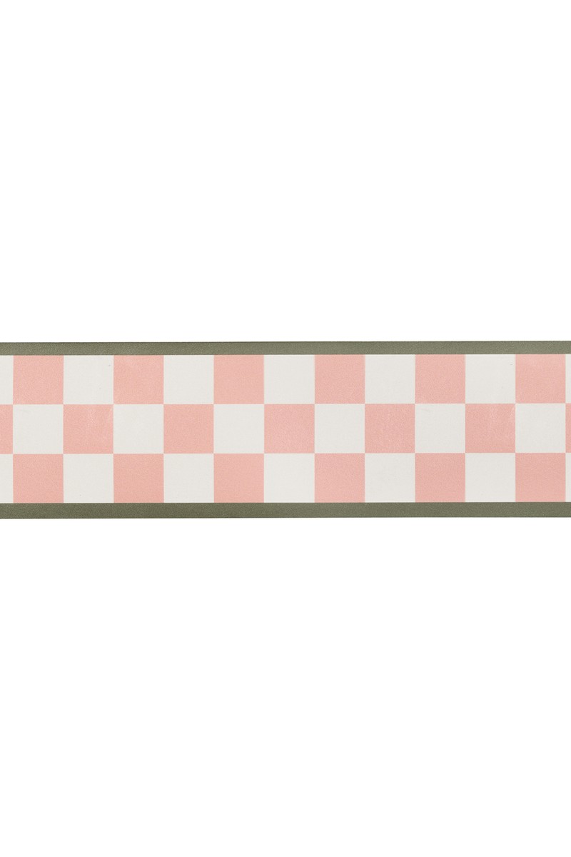 Checked Border from Susie Atkinson